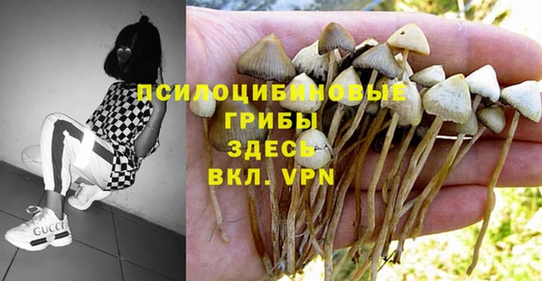стаф Михайлов