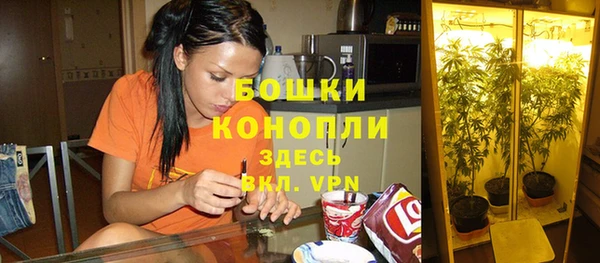 эйфоретик Михайловск