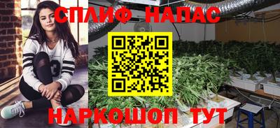эйфоретик Заводоуковск
