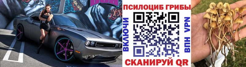 KRAKEN рабочий сайт  что такое   Надым  Псилоцибиновые грибы Psilocybe 